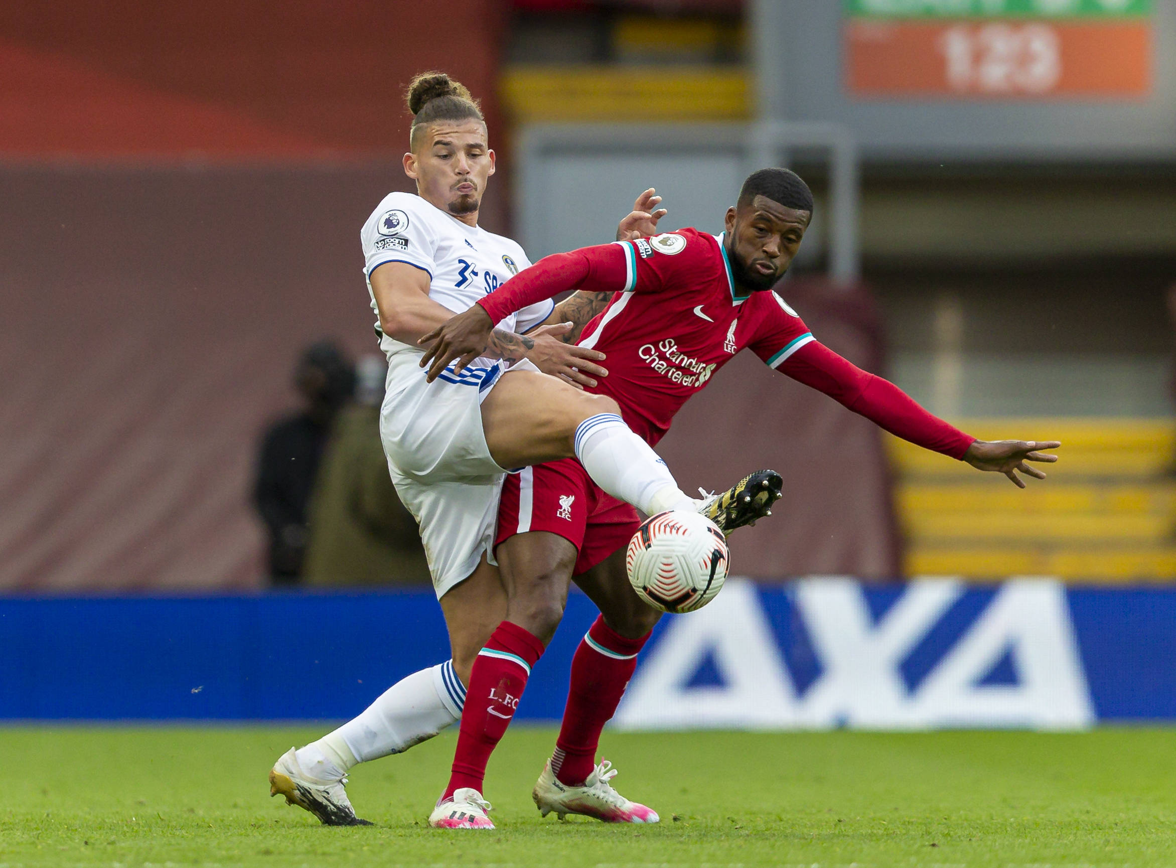 他们愿意在 他们愿意在